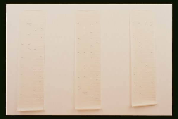 Image 11 of 12