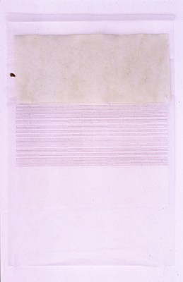 Image 5 of 8