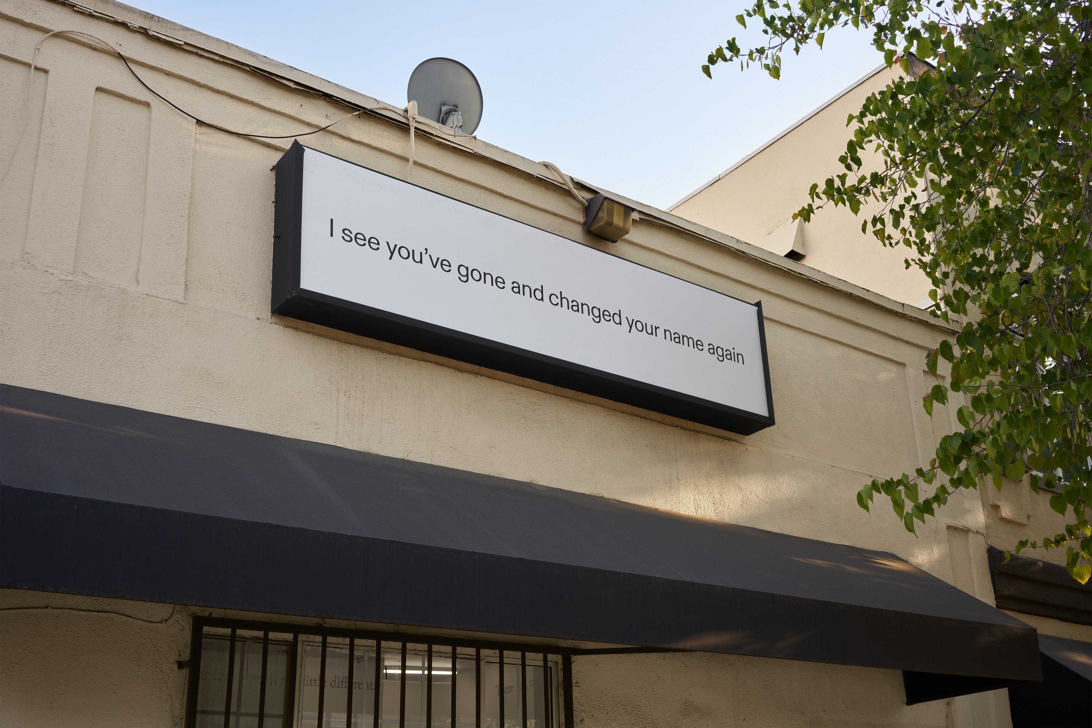 _________, Lutz Bacher, Darren Bader, Lynn Hershman Leeson, Kristin Lucas, Gabriel Madan, image 2 of 35