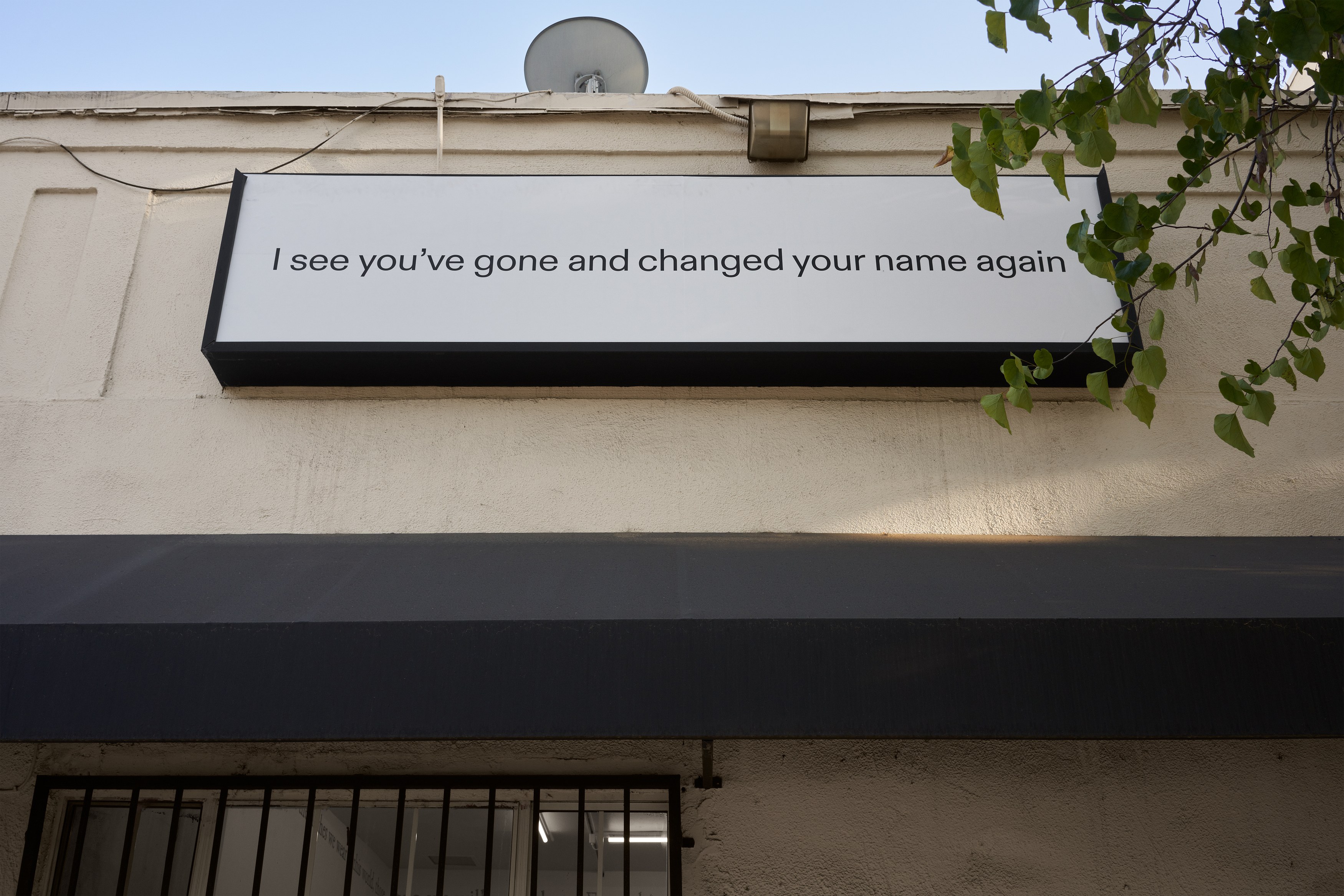 _________, Lutz Bacher, Darren Bader, Lynn Hershman Leeson, Kristin Lucas, Gabriel Madan, image 3 of 35