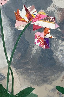 Image 7 of 20