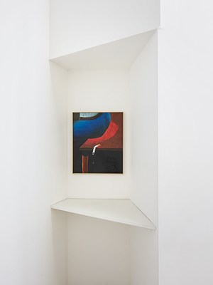 Image 6 of 17