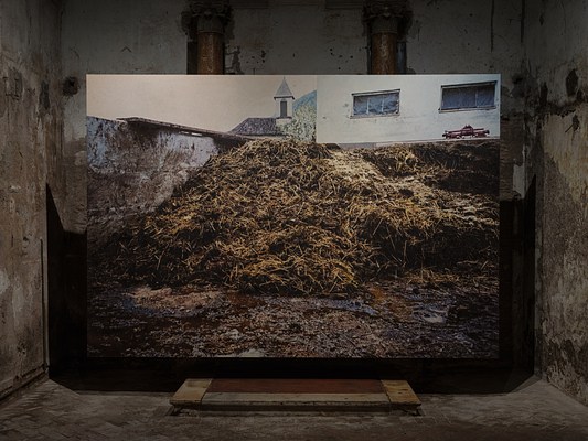 Rudolf Stingel | Contemporary Art Library