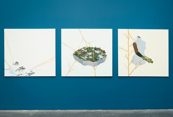 Image 11 of 42