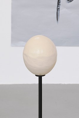 Image 11 of 26
