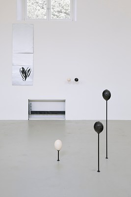 Image 12 of 26