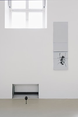 Image 22 of 26