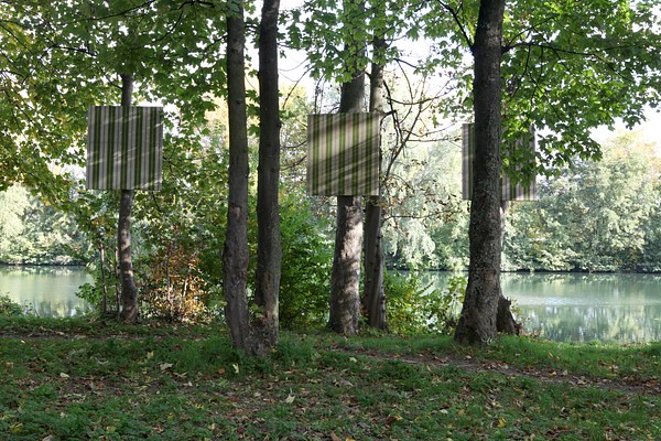Image 2 of 7