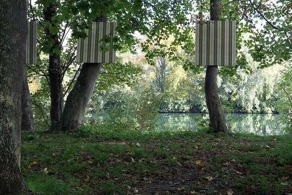 Image 4 of 7