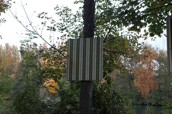 Image 7 of 7