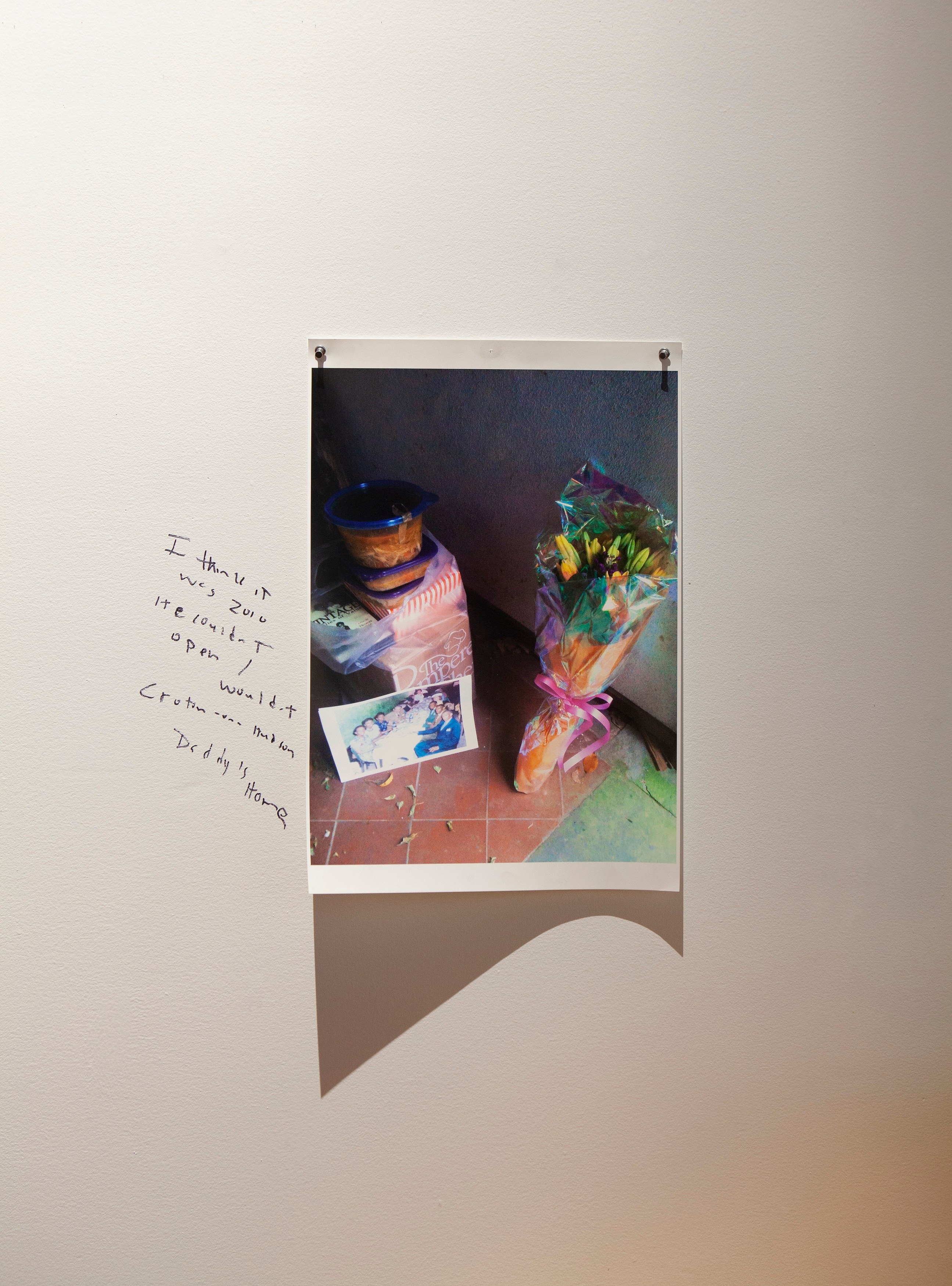 Lyle Ashton Harris, AKA Daddy at Participant Inc, photo 20