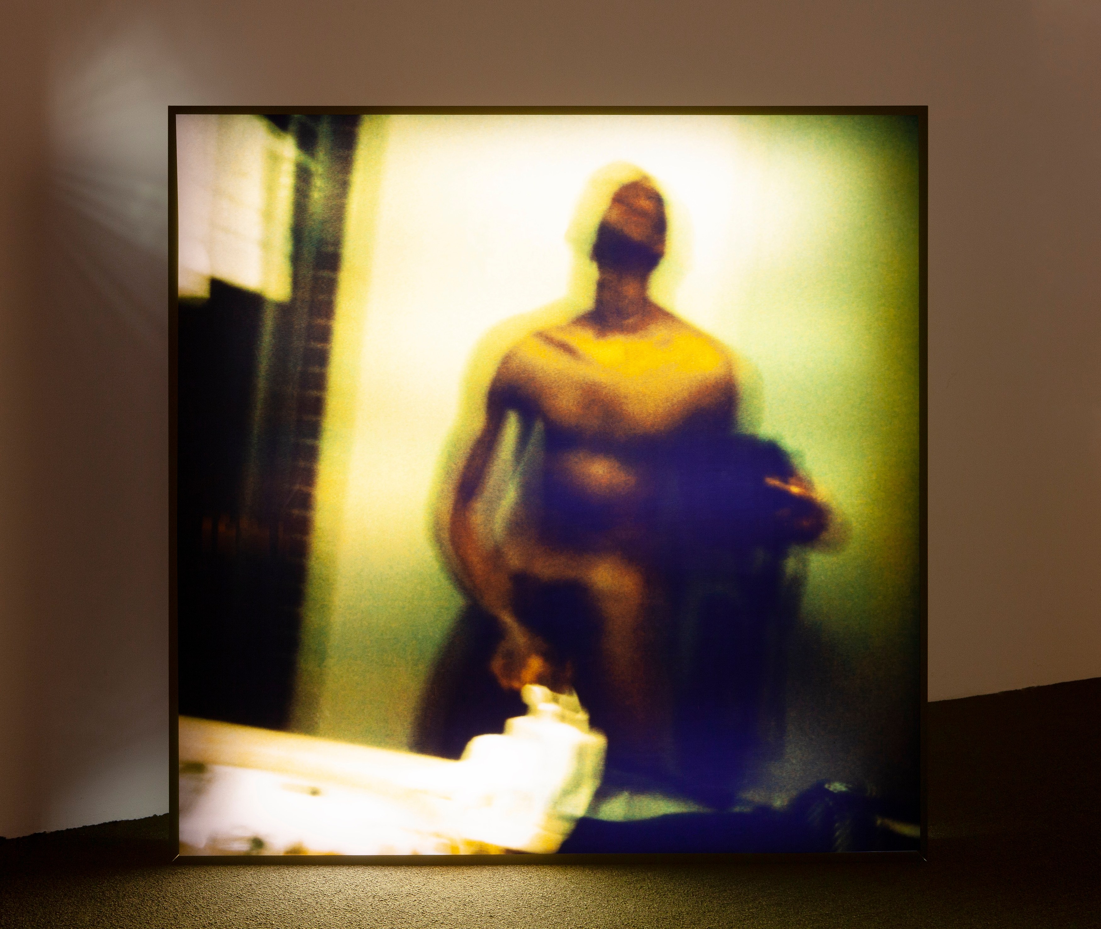 Lyle Ashton Harris, AKA Daddy at Participant Inc, photo 23