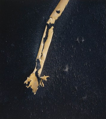 Image 17 of 20