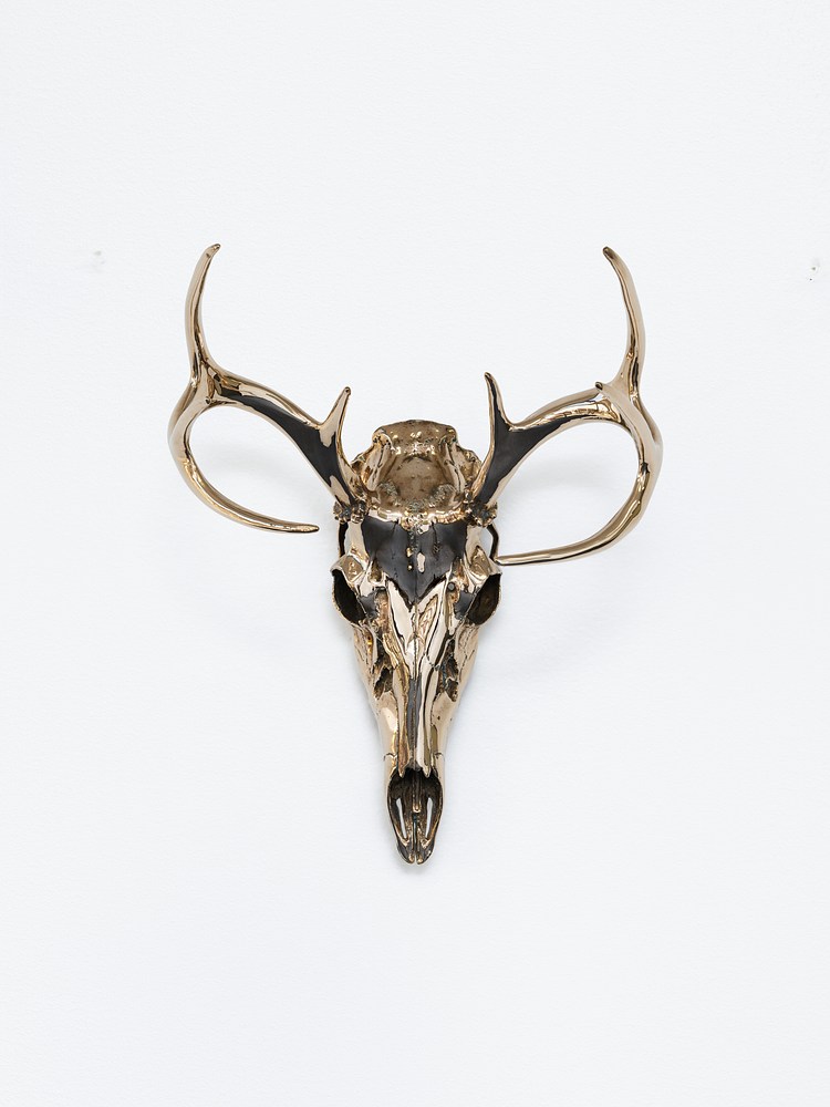 Sherrie Levine | Contemporary Art Library