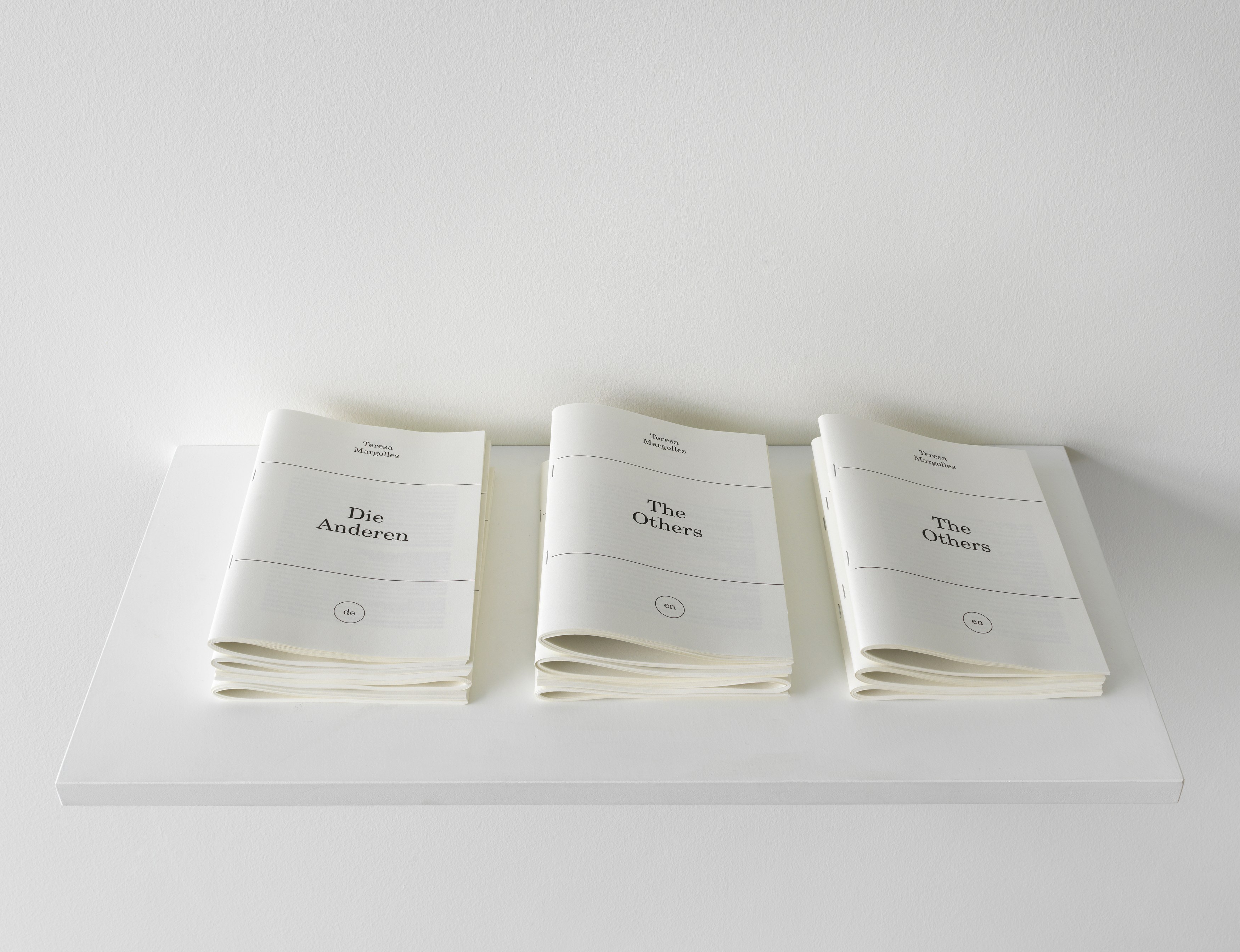 Teresa Margolles, Sutura at DAAD, photo 6