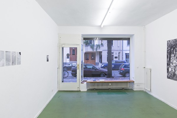 Image 2 of 31