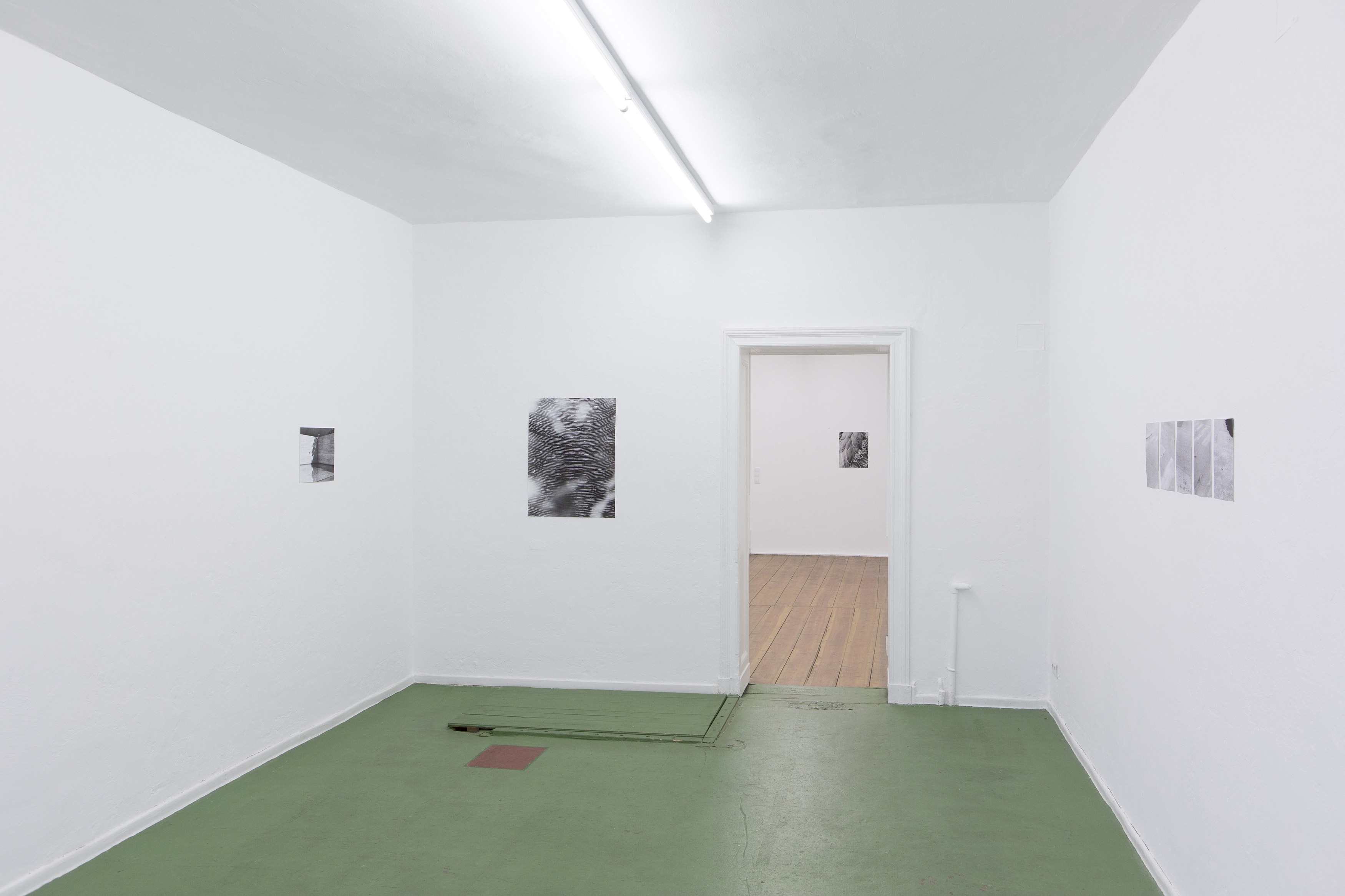 Jochen Lempert, Untitled at Between Bridges, photo 4
