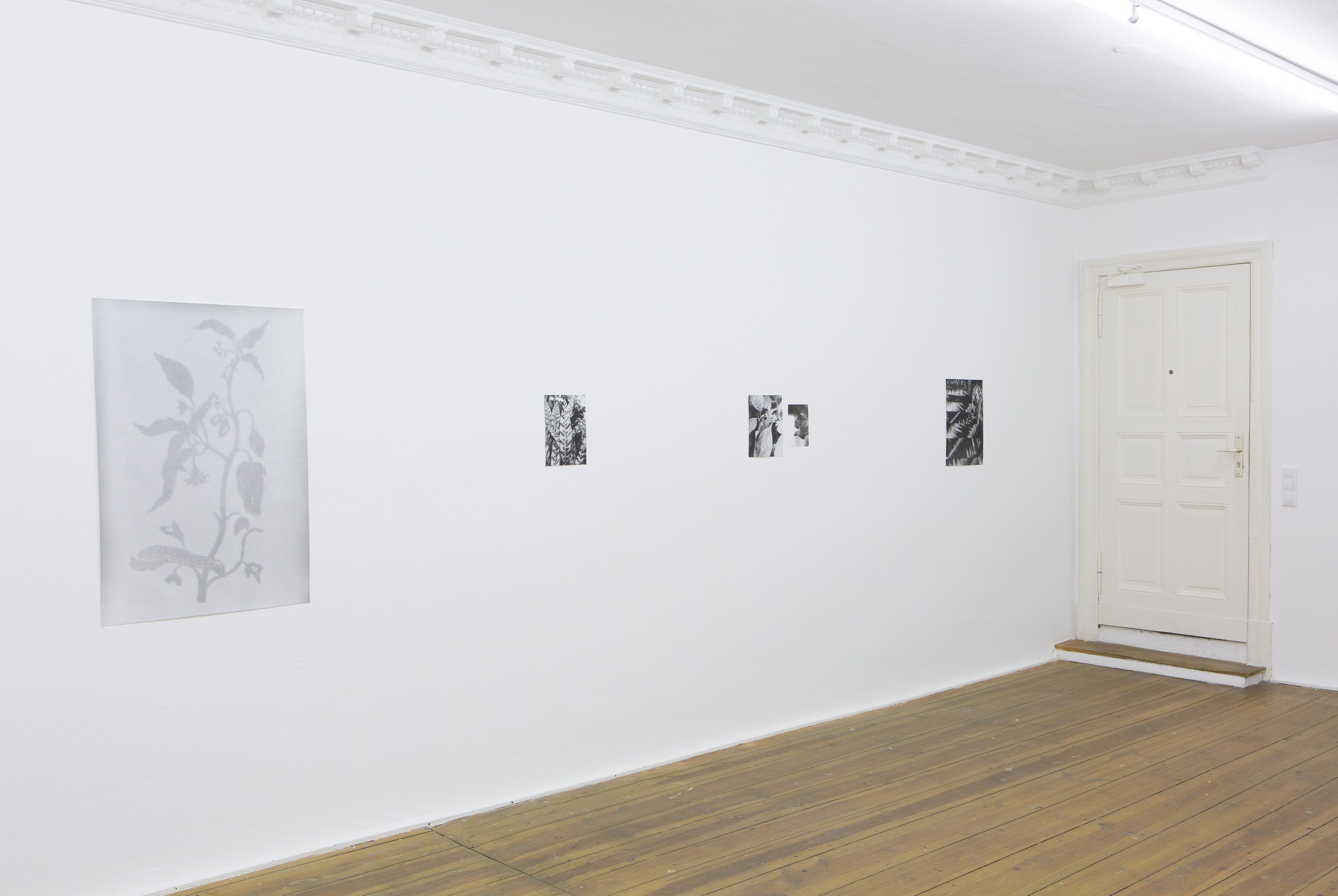 Jochen Lempert, Untitled at Between Bridges, photo 6