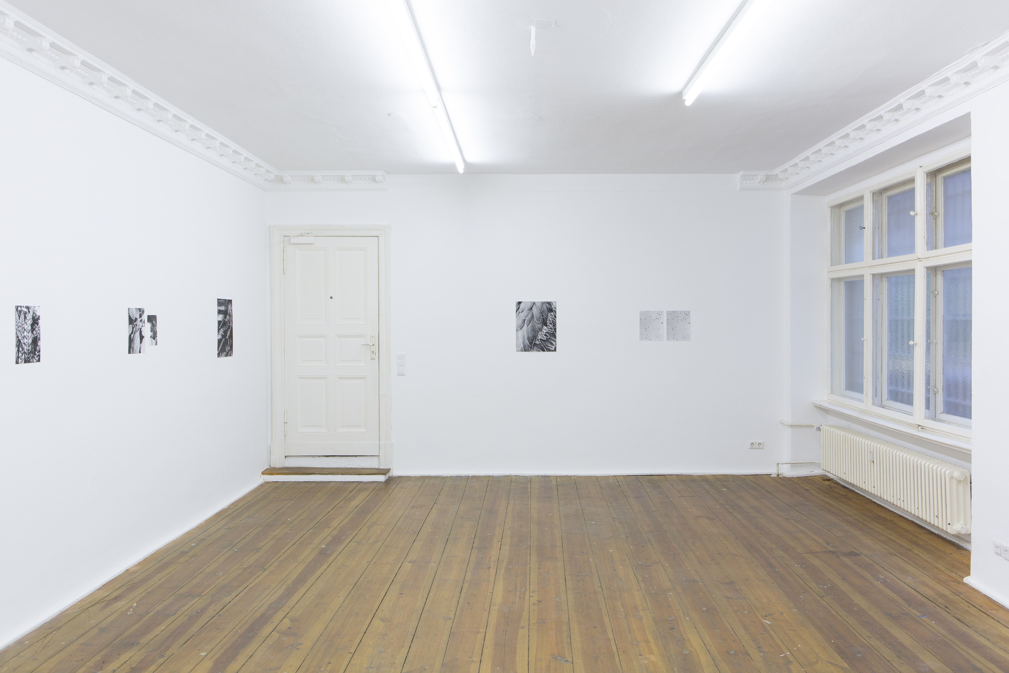 Jochen Lempert, Untitled at Between Bridges, photo 7
