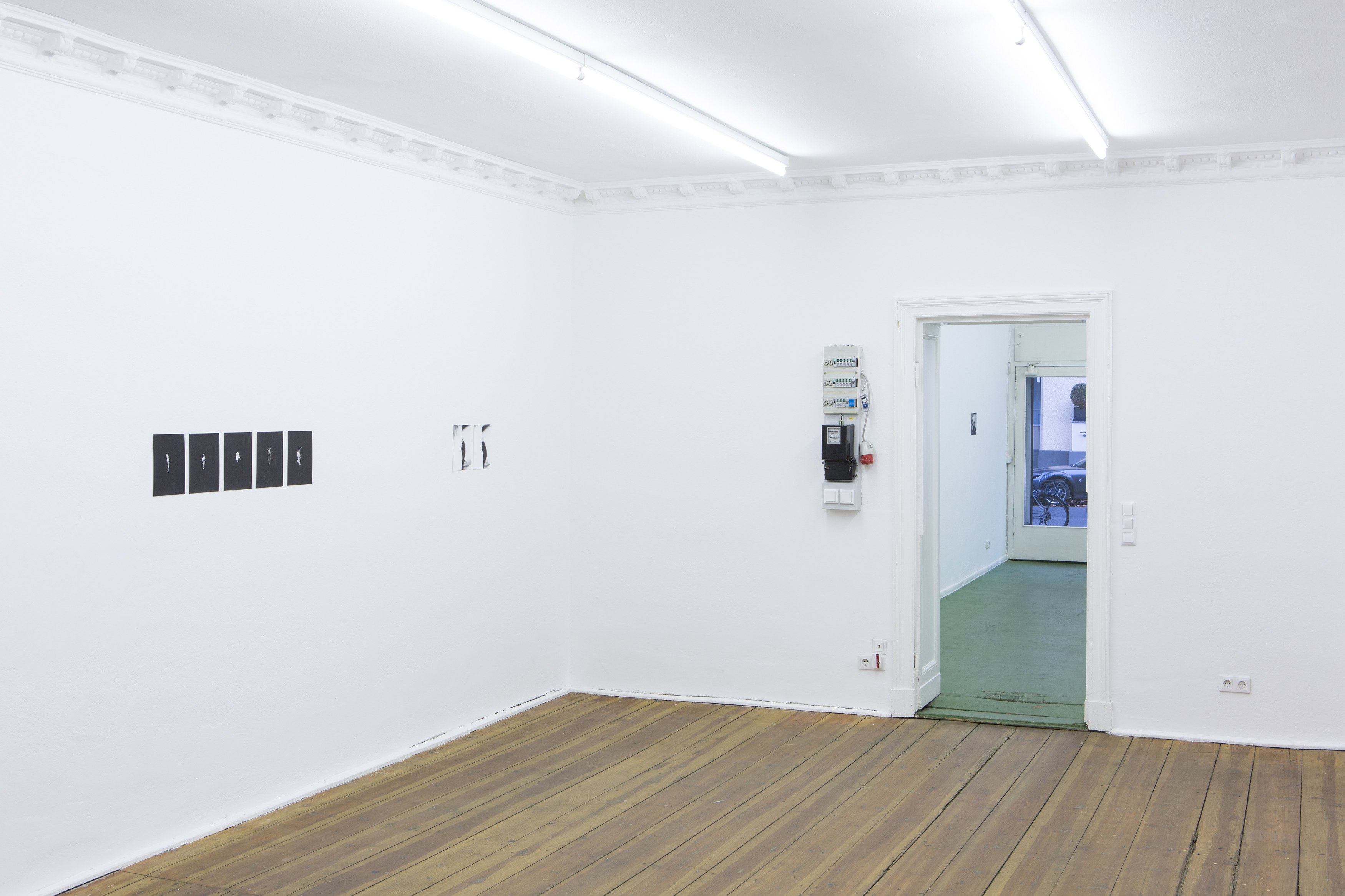 Jochen Lempert, Untitled at Between Bridges, photo 8