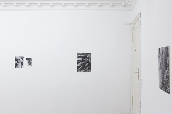 Image 9 of 31