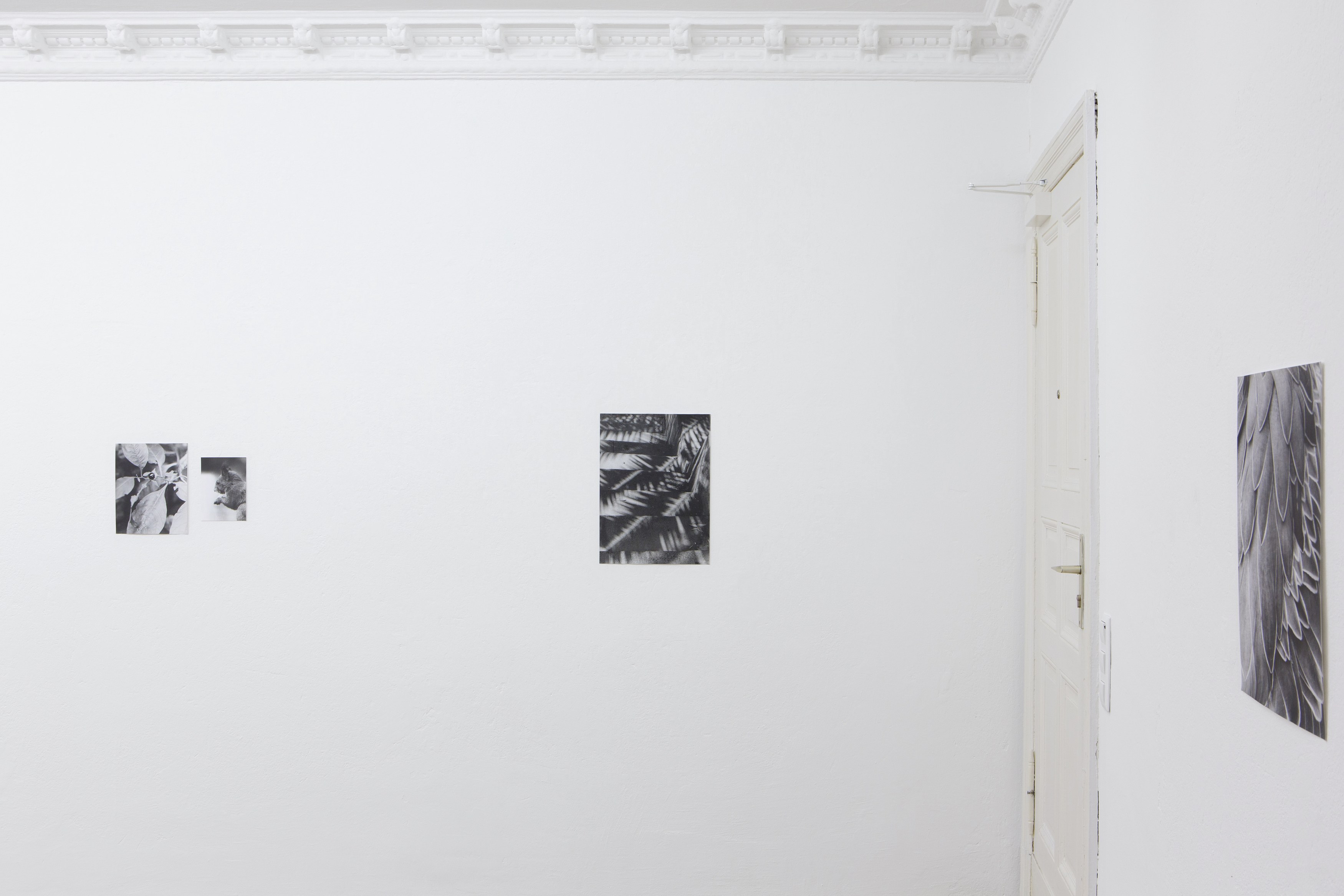 Jochen Lempert, Untitled at Between Bridges, photo 9
