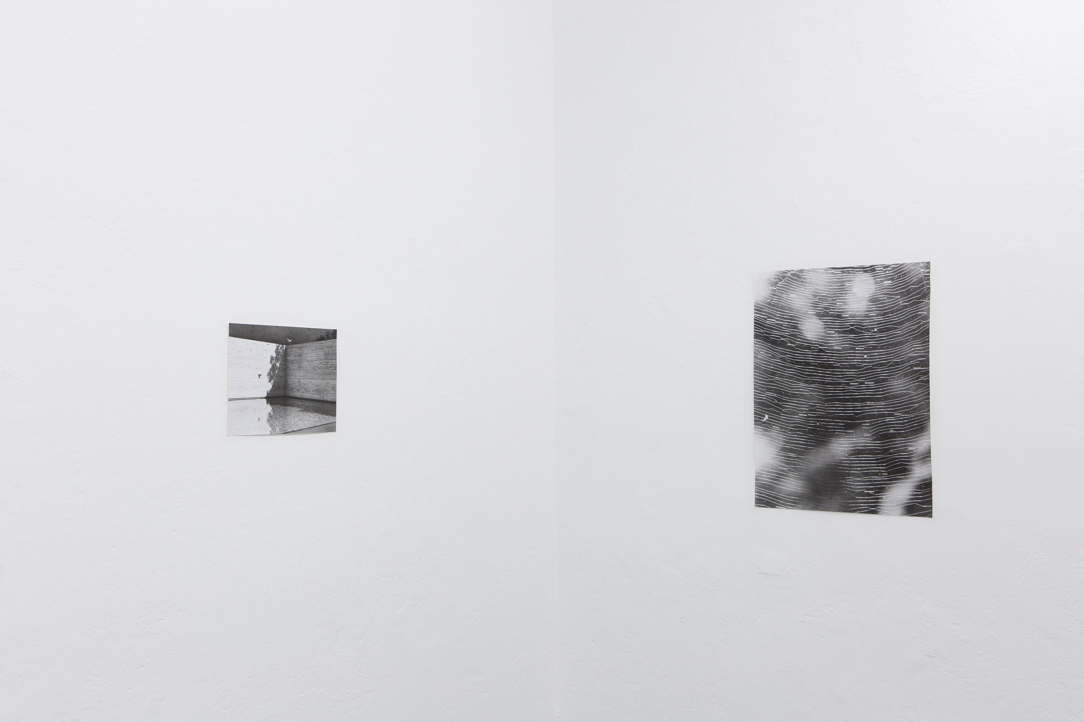 Jochen Lempert, Untitled at Between Bridges, photo 10