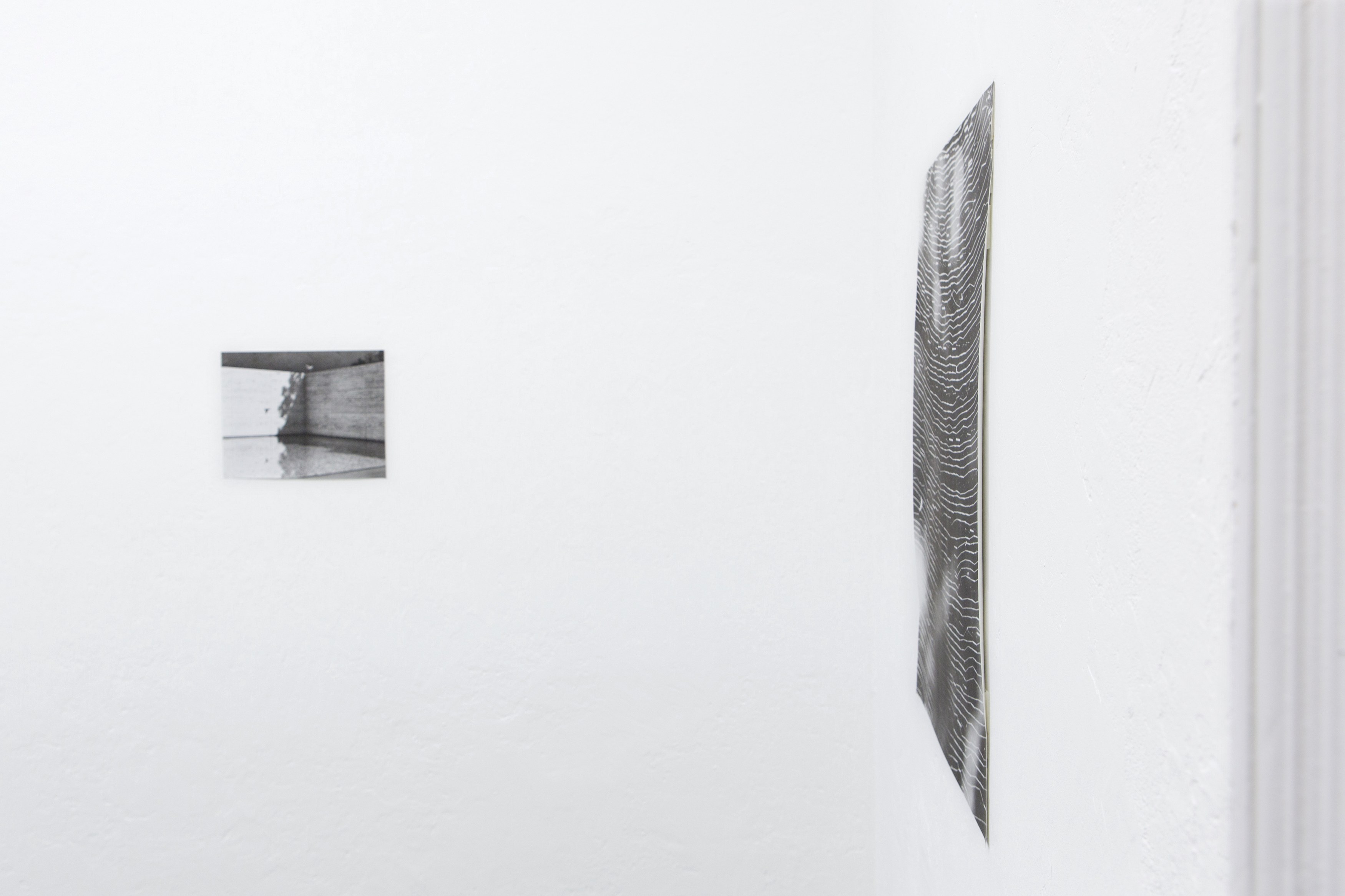 Jochen Lempert, Untitled at Between Bridges, photo 11