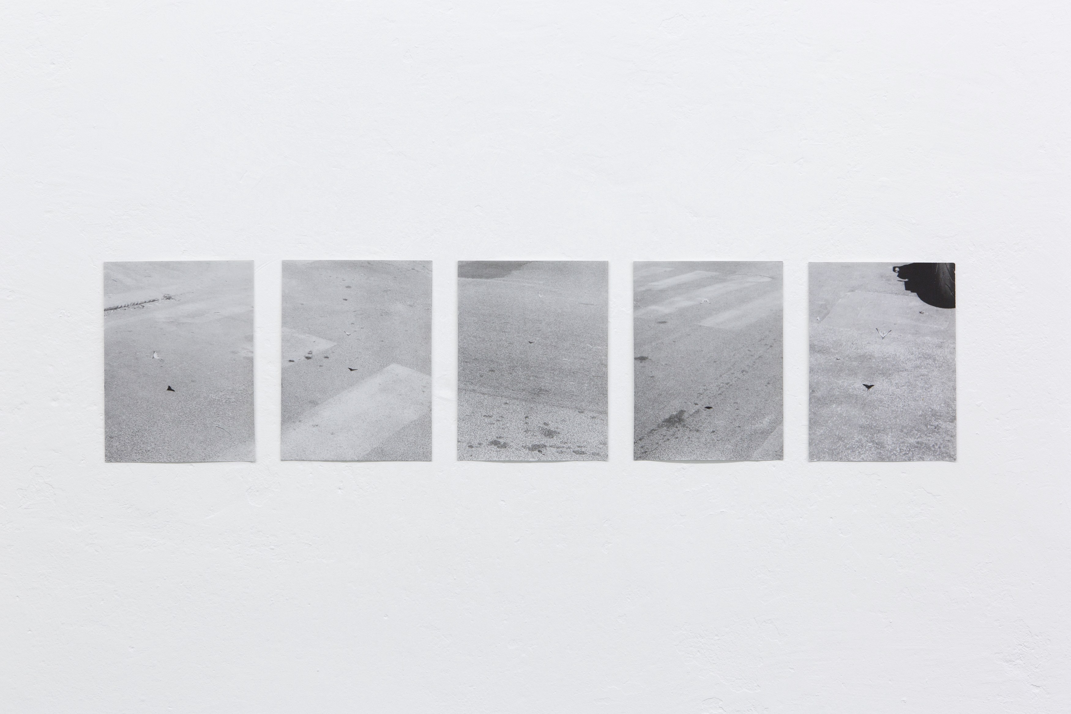 Jochen Lempert, Untitled at Between Bridges, photo 12