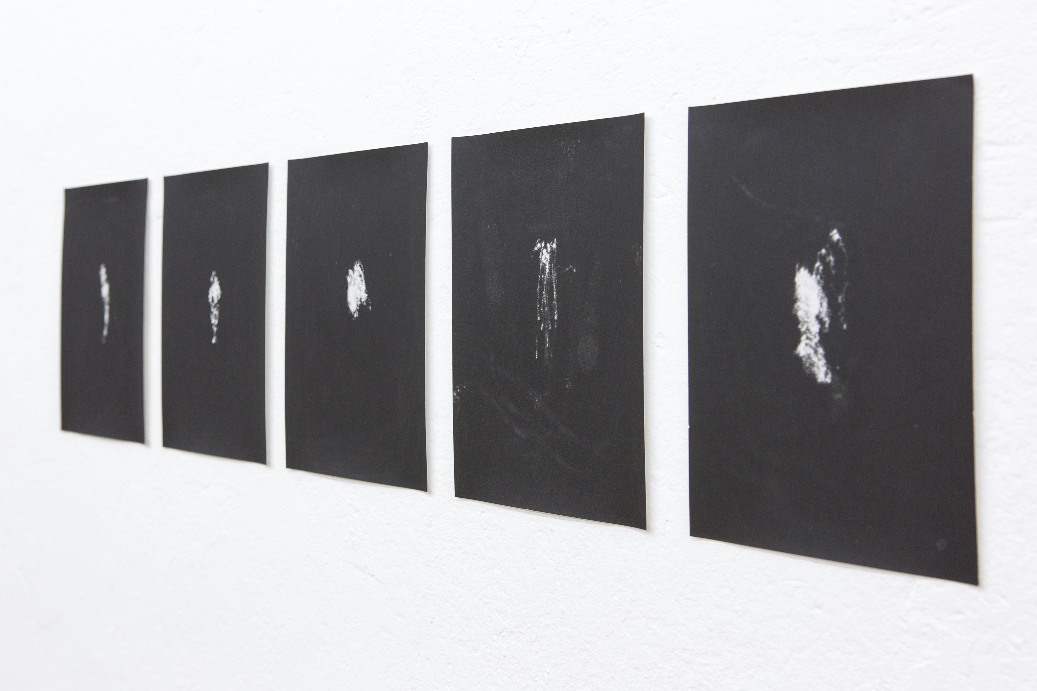Jochen Lempert, Untitled at Between Bridges, photo 13