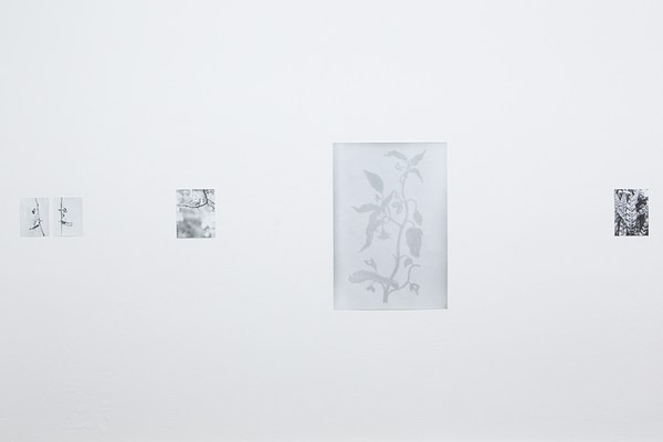 Image 14 of 31