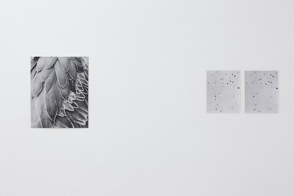 Image 15 of 31