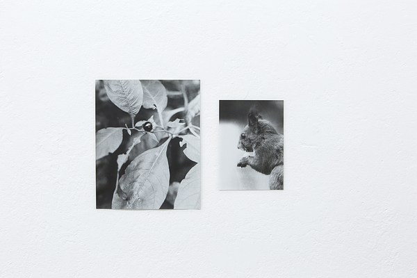Image 17 of 31