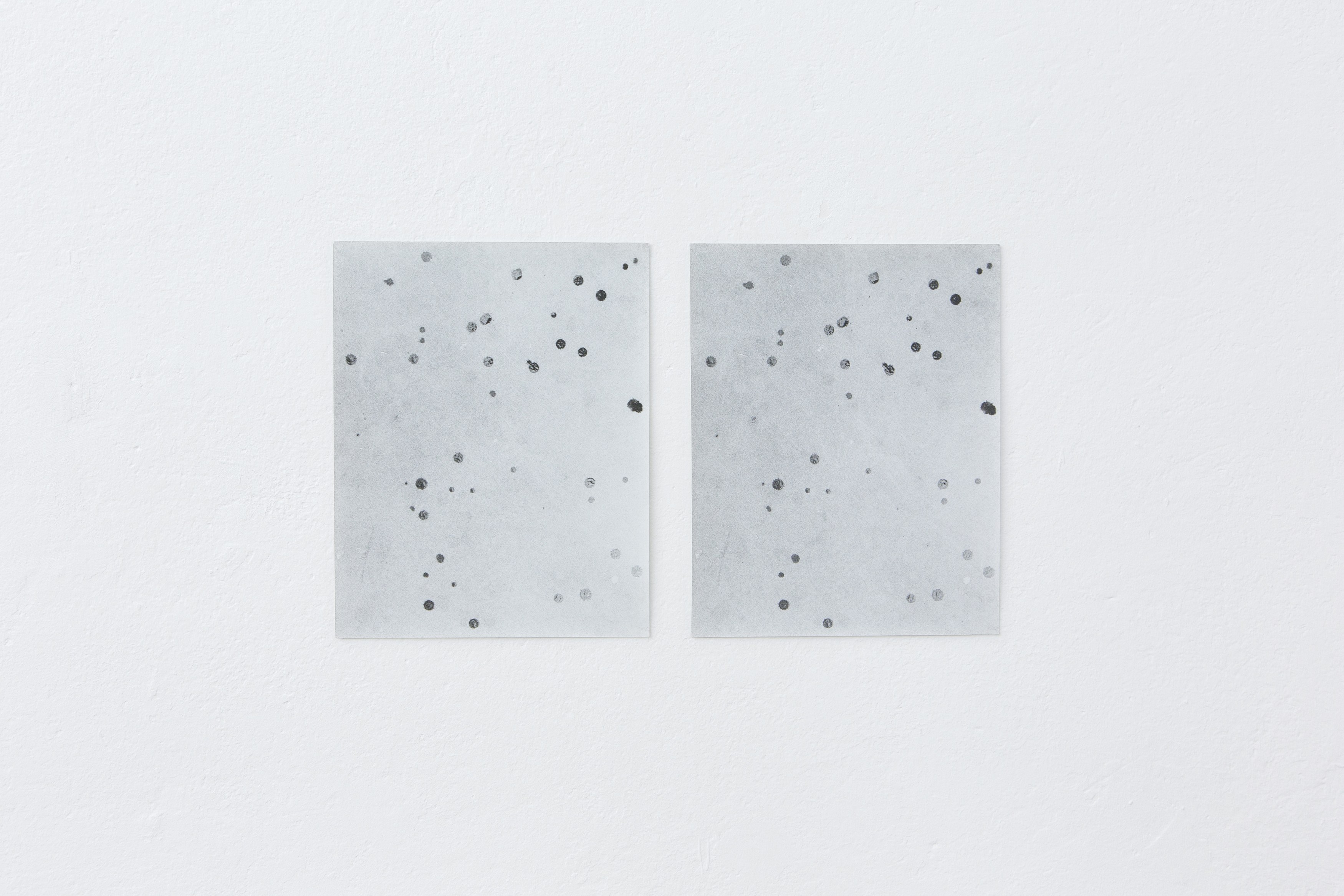 Jochen Lempert, Untitled at Between Bridges, photo 18