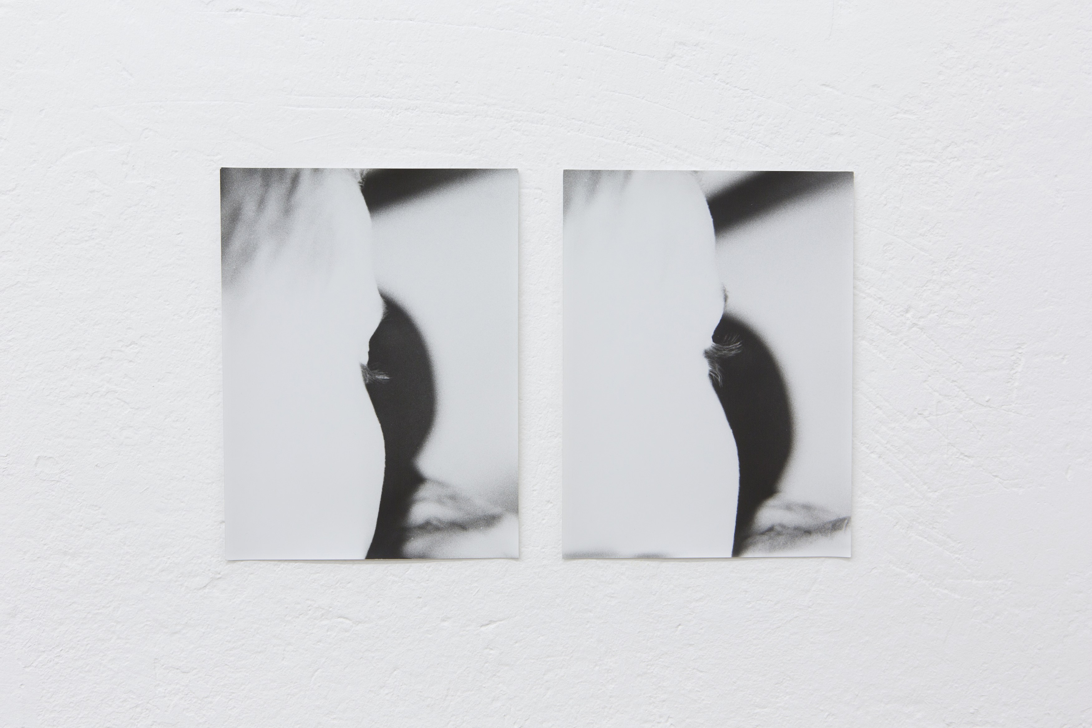 Jochen Lempert, Untitled at Between Bridges, photo 19