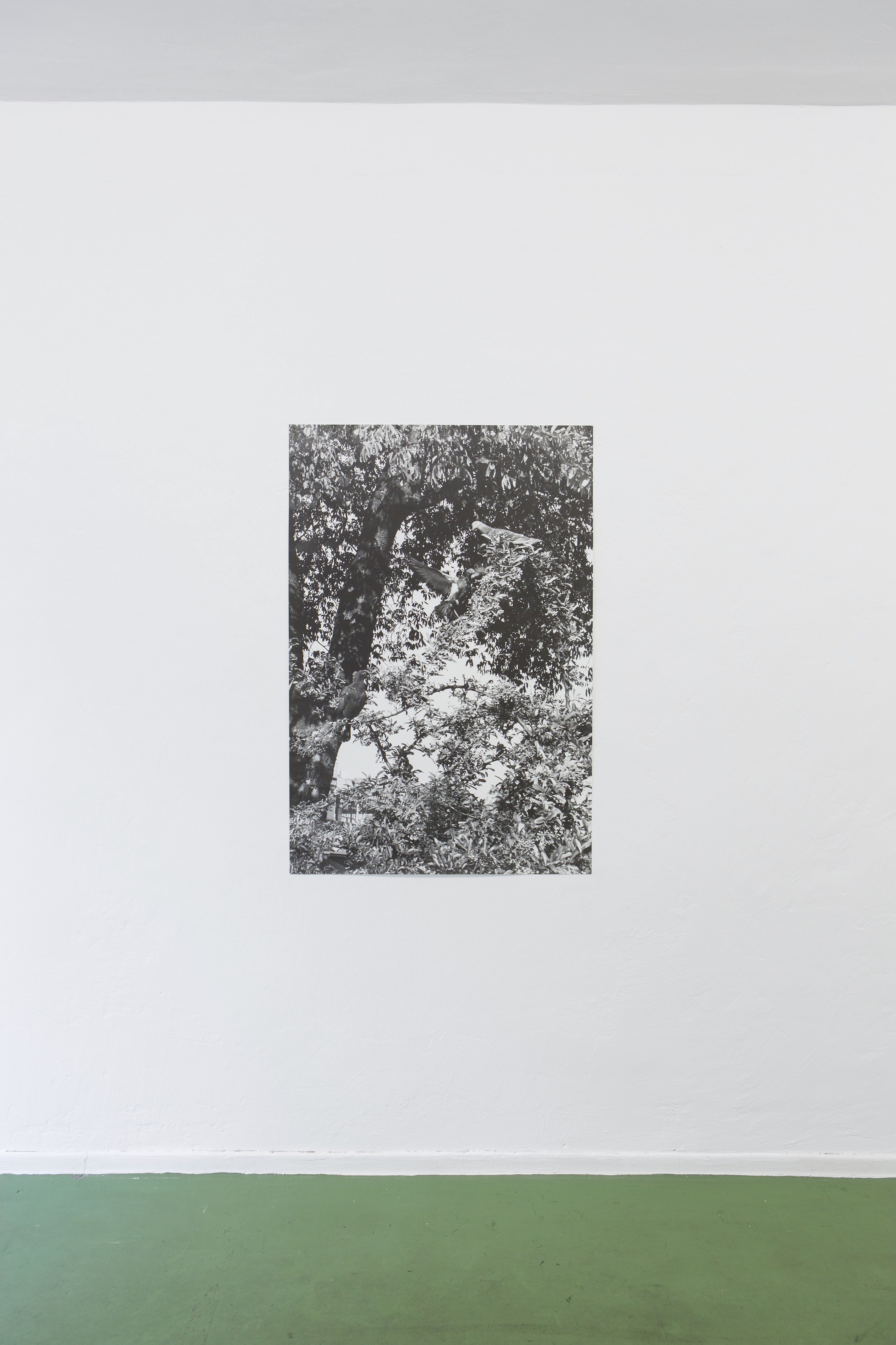 Jochen Lempert, Untitled at Between Bridges, photo 20