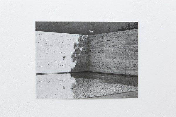 Image 21 of 31