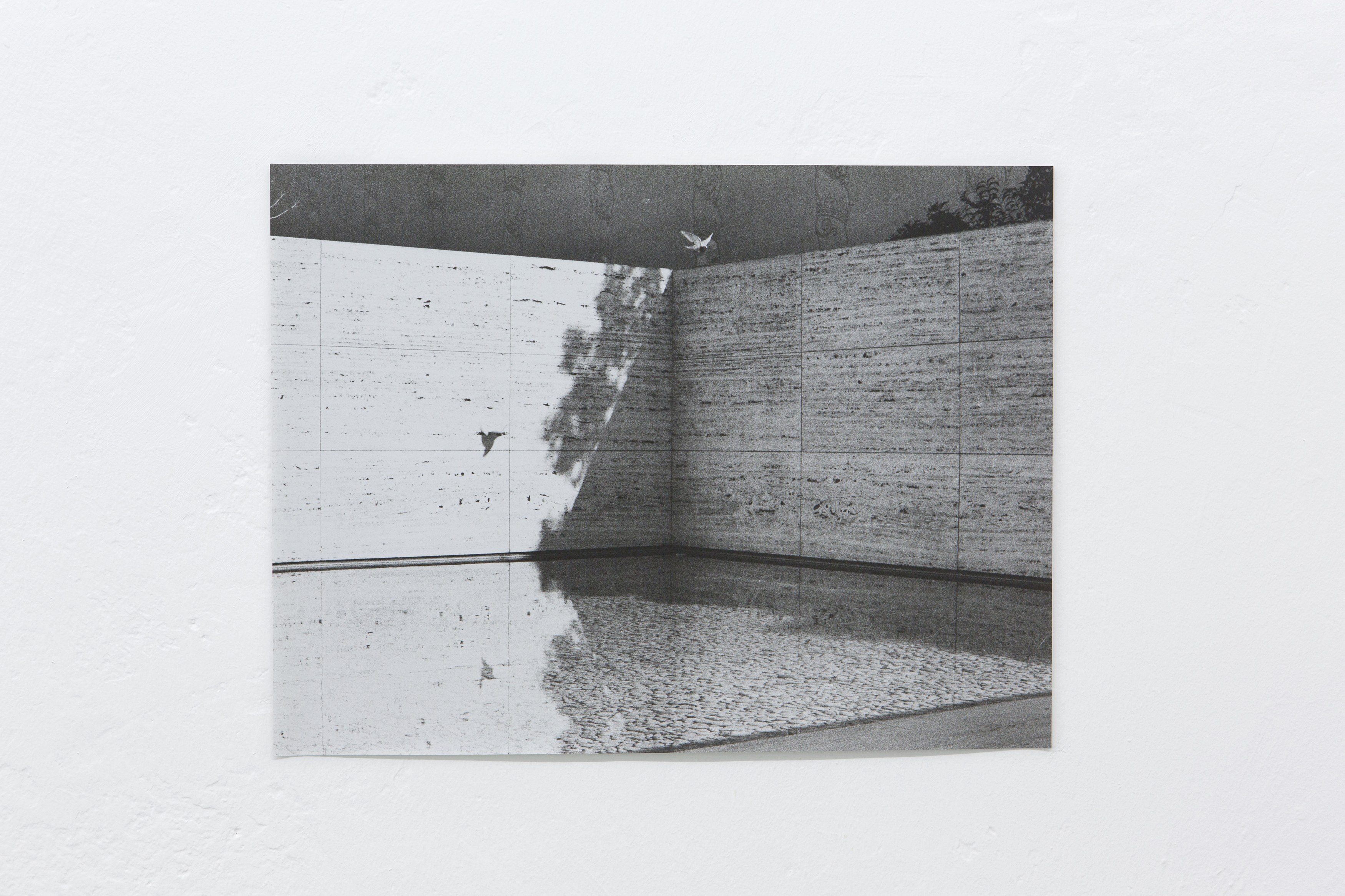 Jochen Lempert, Untitled at Between Bridges, photo 21