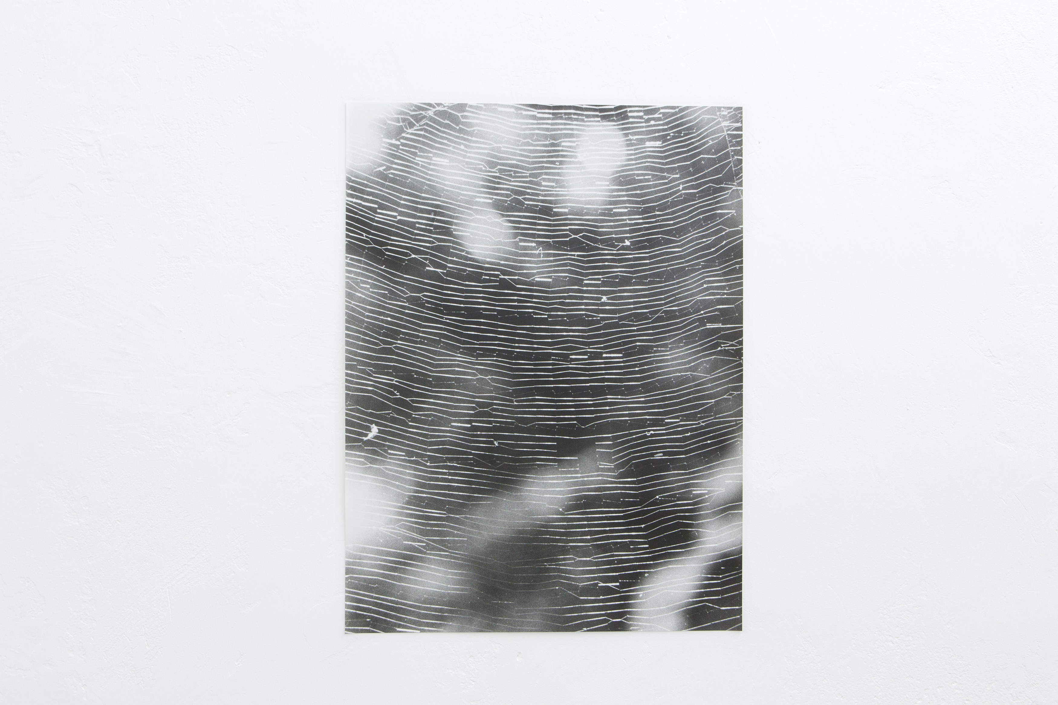 Jochen Lempert, Untitled at Between Bridges, photo 22