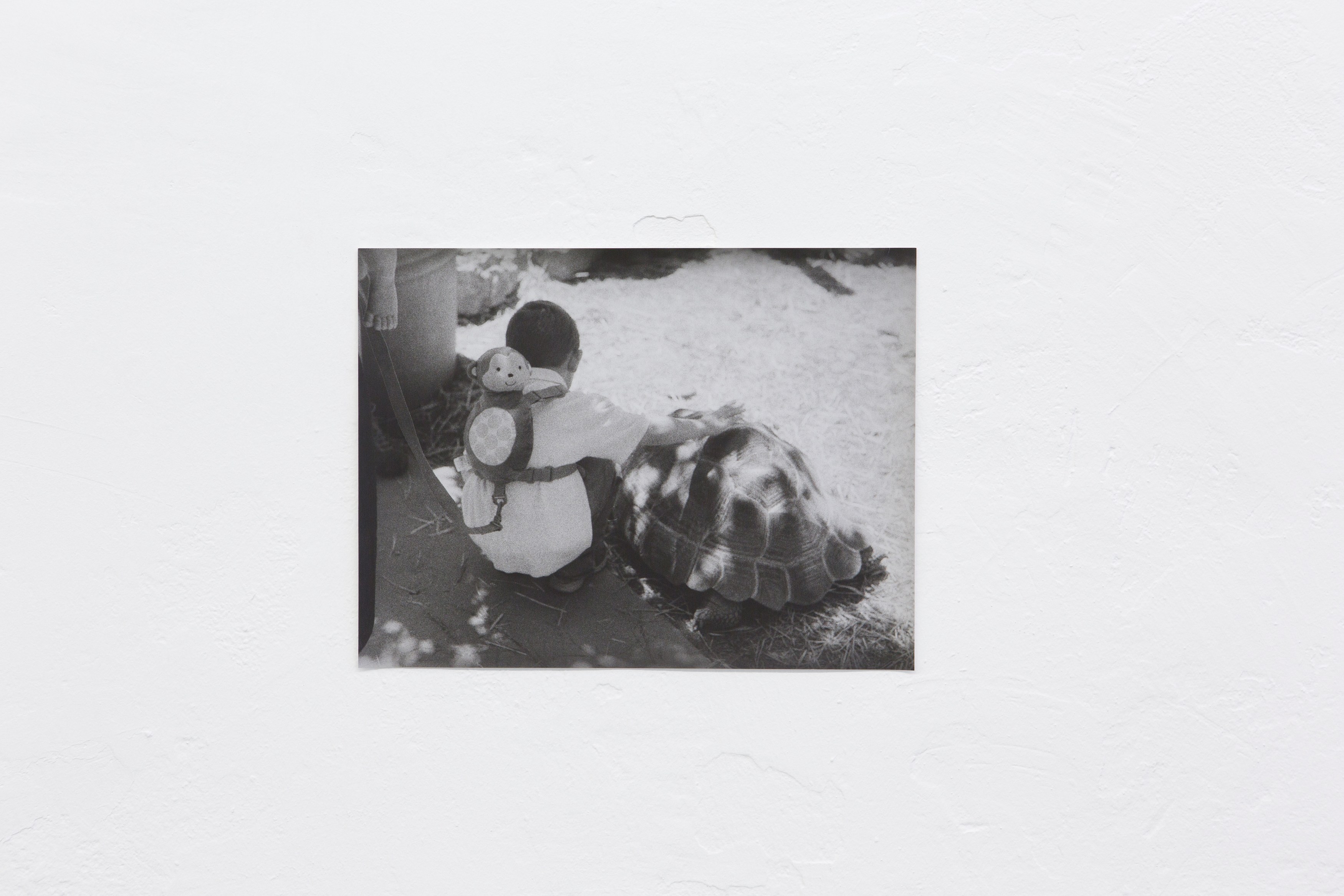 Jochen Lempert, Untitled at Between Bridges, photo 23