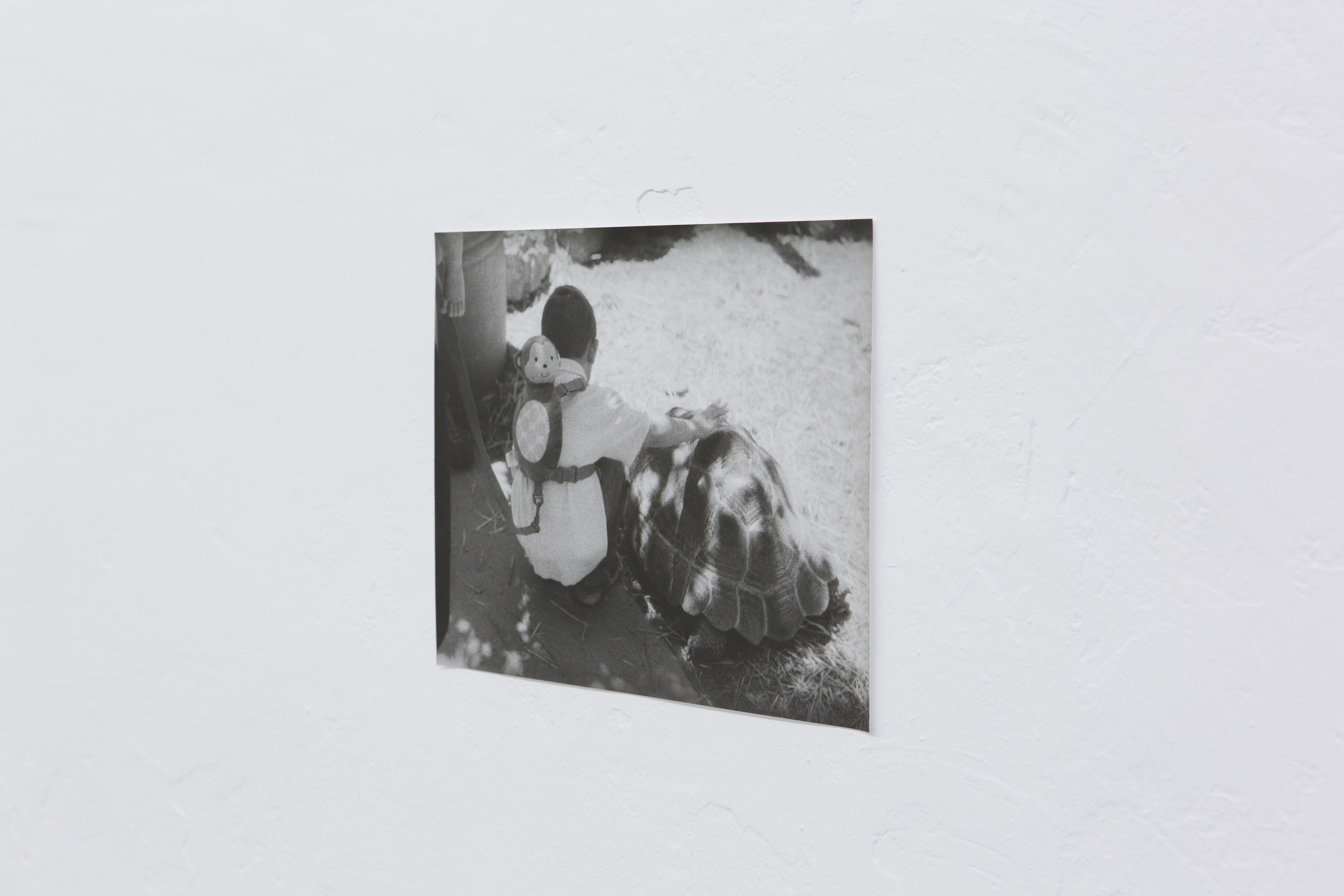 Jochen Lempert, Untitled at Between Bridges, photo 24