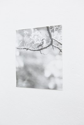 Image 25 of 31
