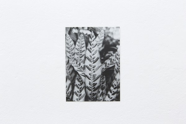 Image 26 of 31