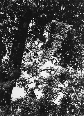 Image 30 of 31