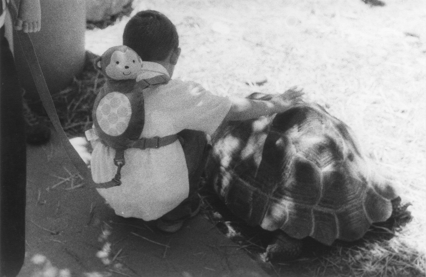 Jochen Lempert, Untitled at Between Bridges, photo 31