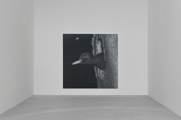 アート・デザイン・音楽 RUDOLF STINGEL secession Rudolf Stingel | Untitled (2022) | Available for Sale | Artsy