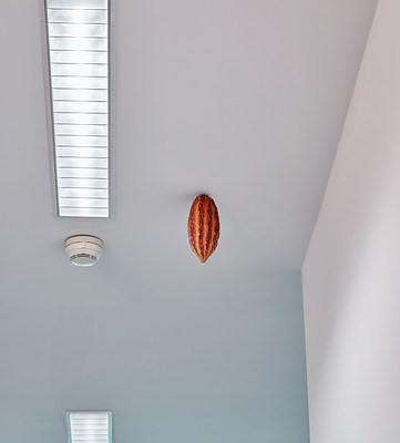 Image 4 of 14
