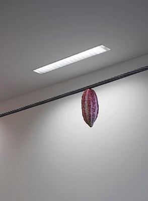 Image 5 of 14