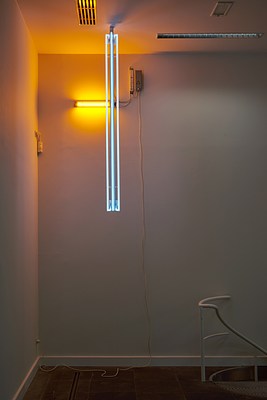 Image 9 of 14