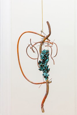 Image 20 of 27